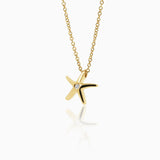 Collar Star Gold